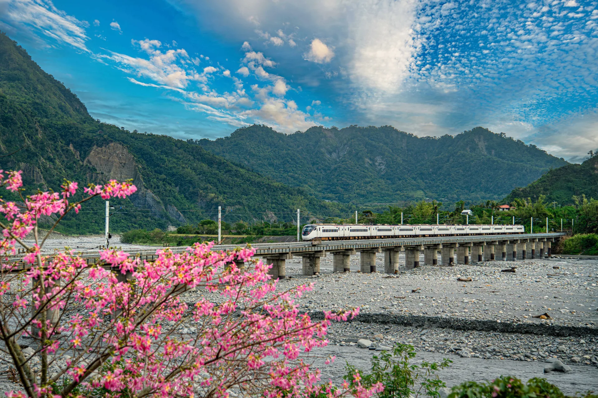 Taiwan PASS「高鐵版」「台鐵版」,升級納入4大都會捷運、全臺15項景區接駁服務。觀光署提供
