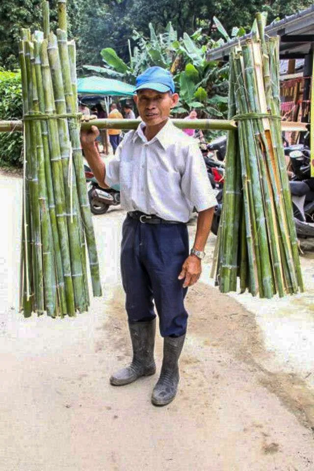 什麼叫「竹嫲」就是竹筍讓它長高到要長出枝葉這個候的竹子叫「竹嫲」。因為它纖維比較細,泡石灰水碾碎做成紙漿。陳權欣攝