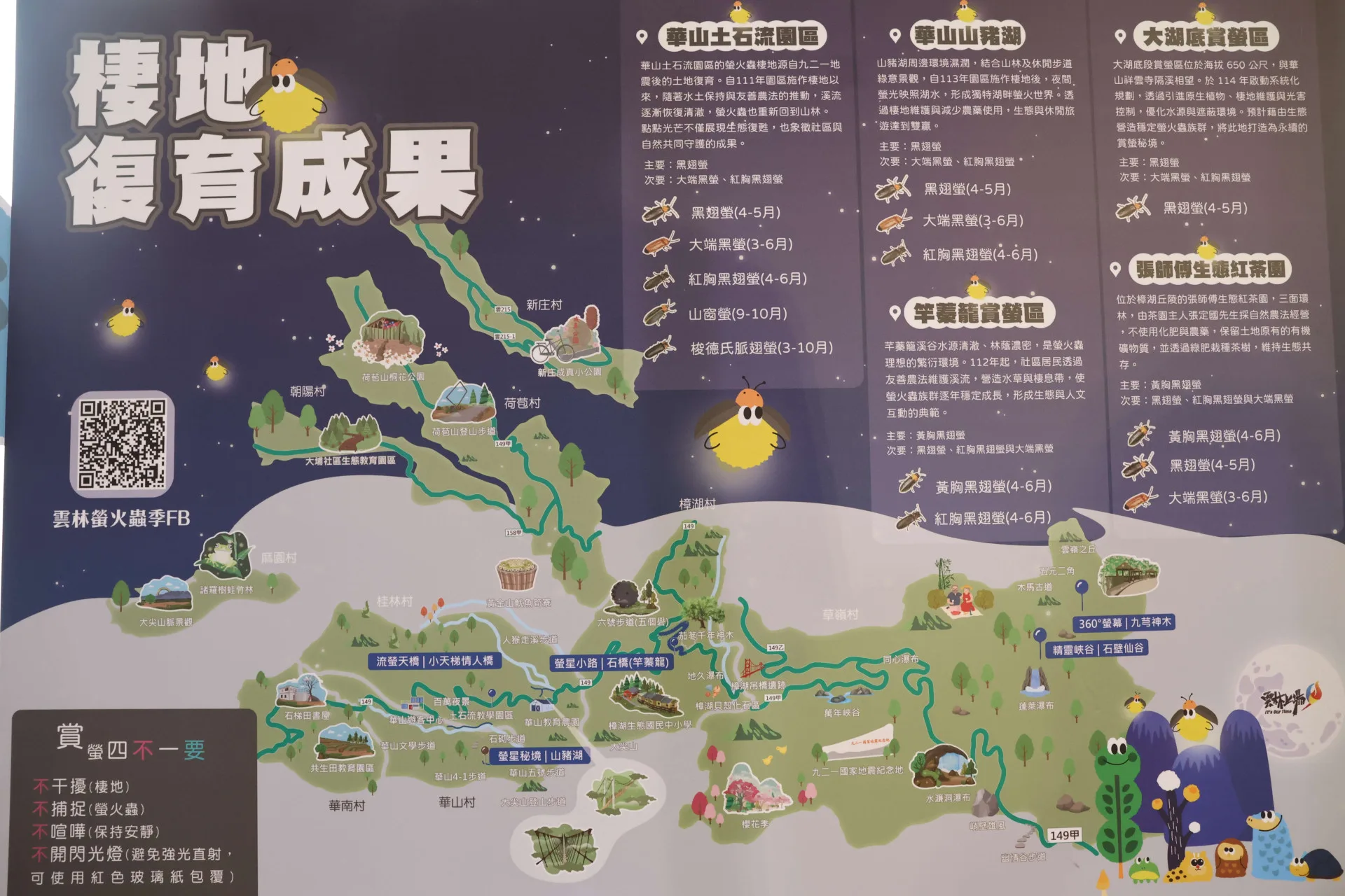 雲林縣螢火蟲棲地復育成果。雲林縣政府提供
