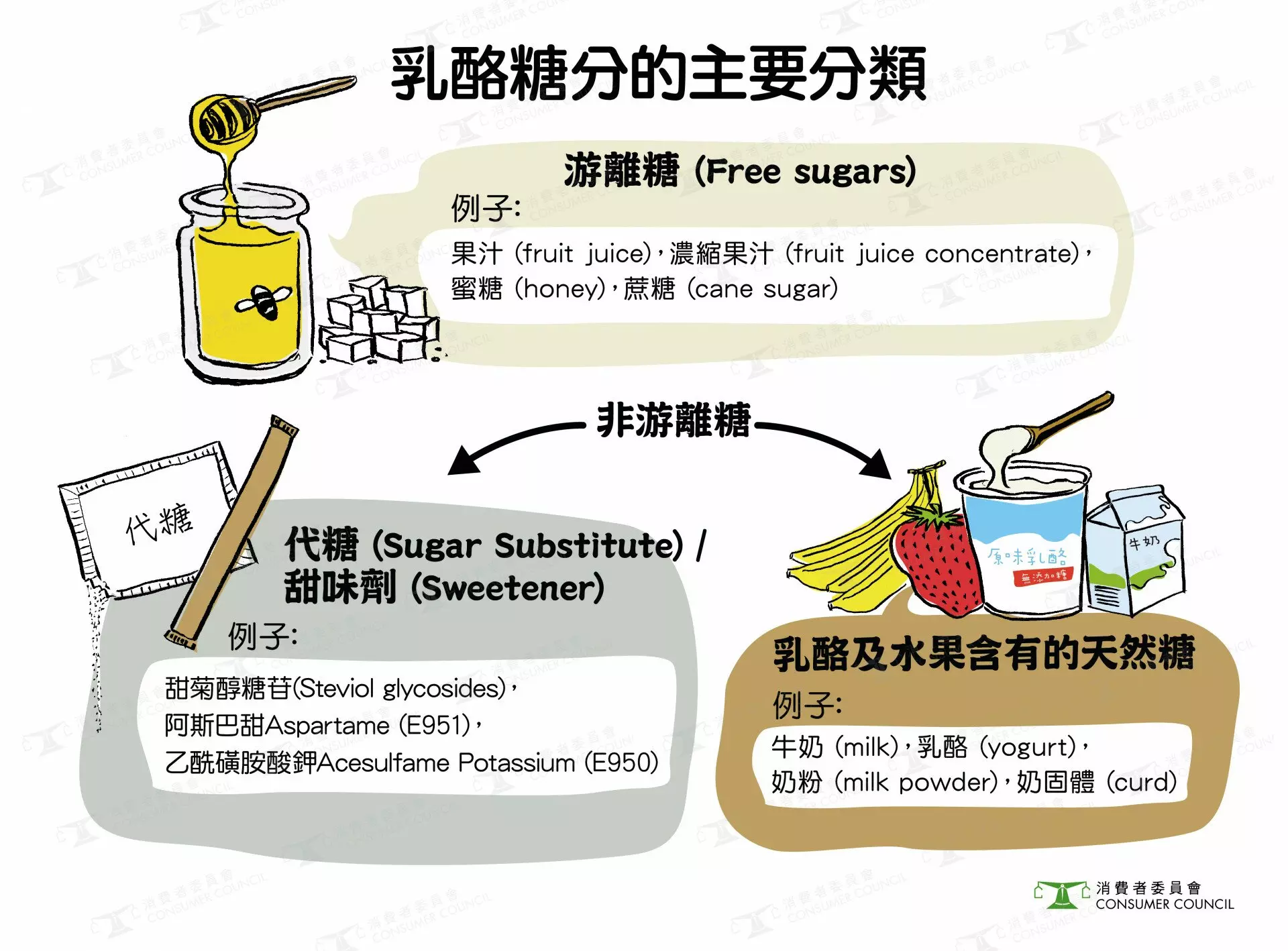 食品中的糖，主要可分為游離糖和非游離糖（代糖和天然存在於食物中的糖分）。翻攝自消費者委員會 官網