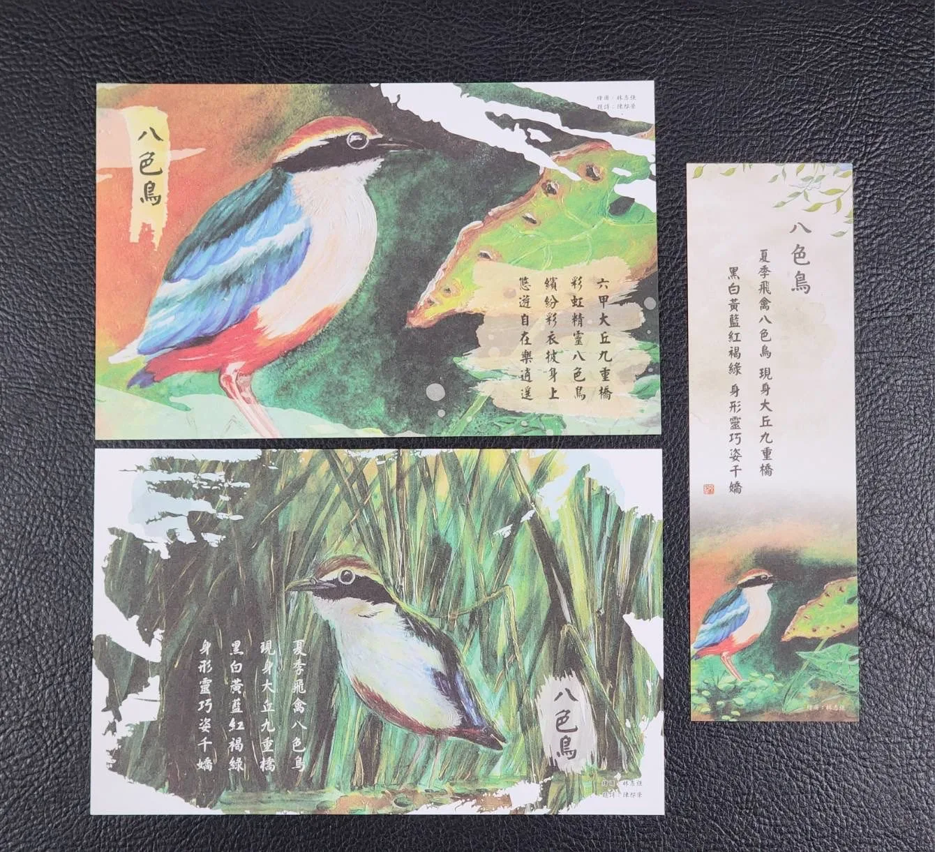 八色鳥連續8年現蹤台南六甲,區公所推八色鳥生態季紀念明信片及書籤。台南市六甲區公所提供