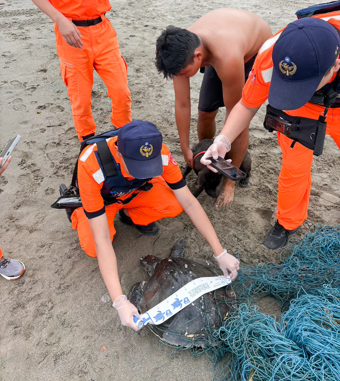 台東杉原灣海岸巡邏員昨(28)天下午救援一隻遭漁網纏困的欖蠵龜。台東縣政府提供