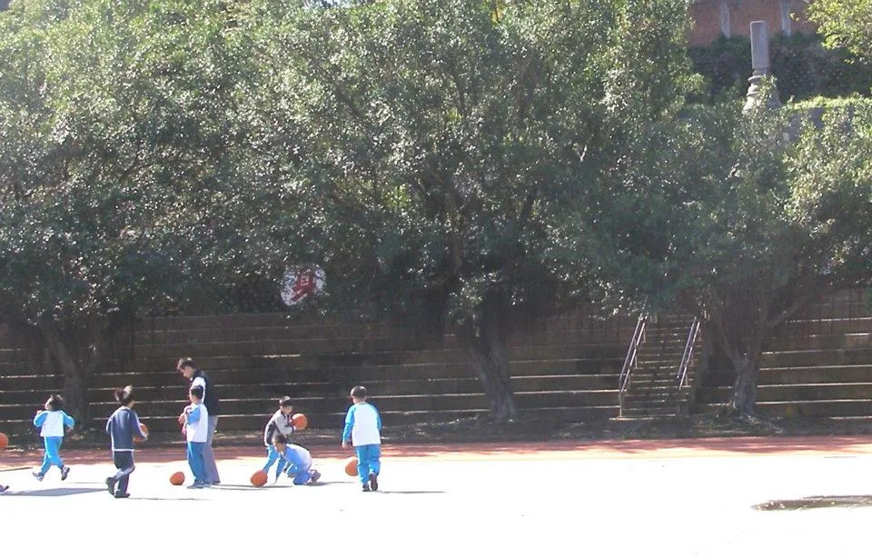 竹東國小學生在操場活動，上方樹林中就是吳天佑紀念碑，卻沒有學生知道此碑的來歷。陳權欣攝