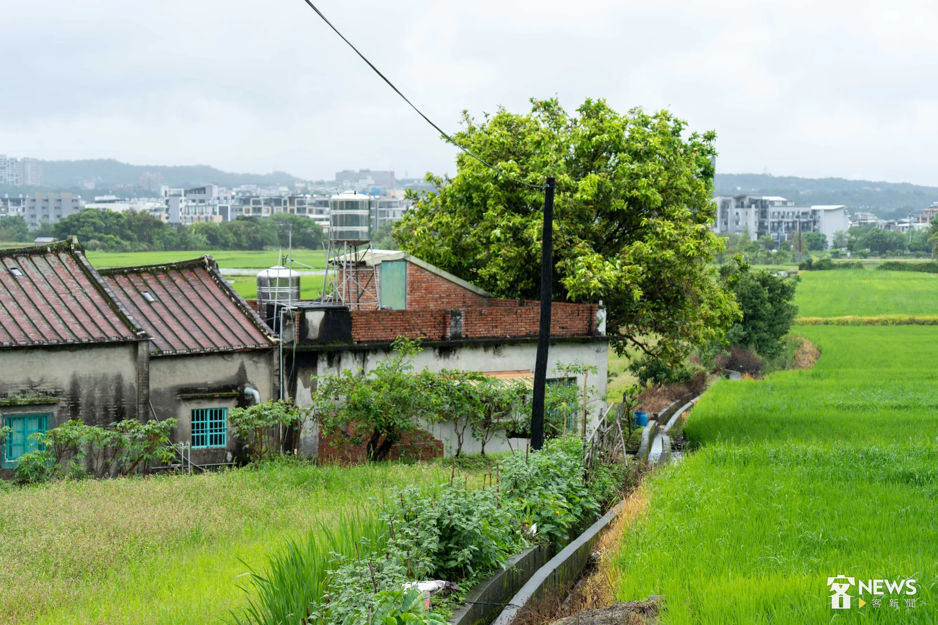 參與者沿著鄉間道路前行，實地感受芎林農村風貌。朱愷元攝