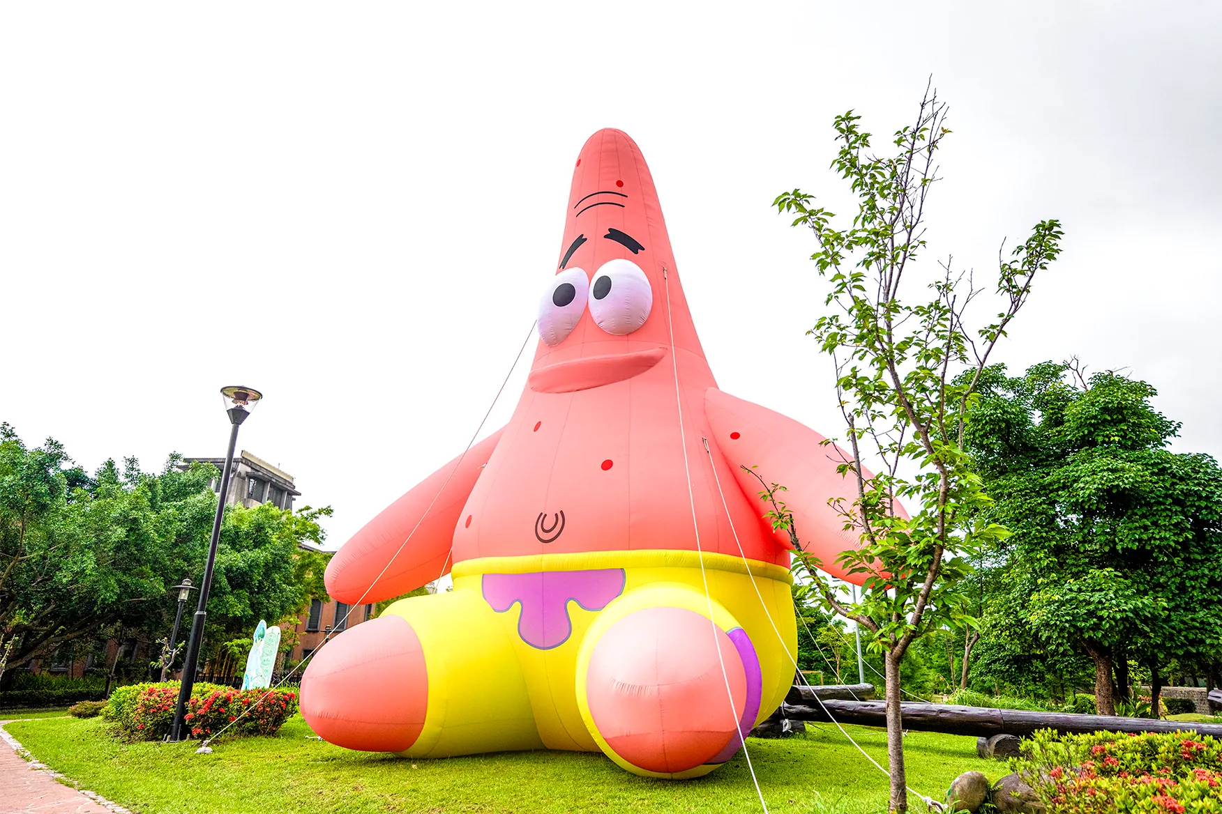 海綿寶寶的好夥伴派大星也驚喜現身新北市客家文化園區綠地！大型氣偶裝置將一路陪伴民眾至6月11日。新北市客家局提供