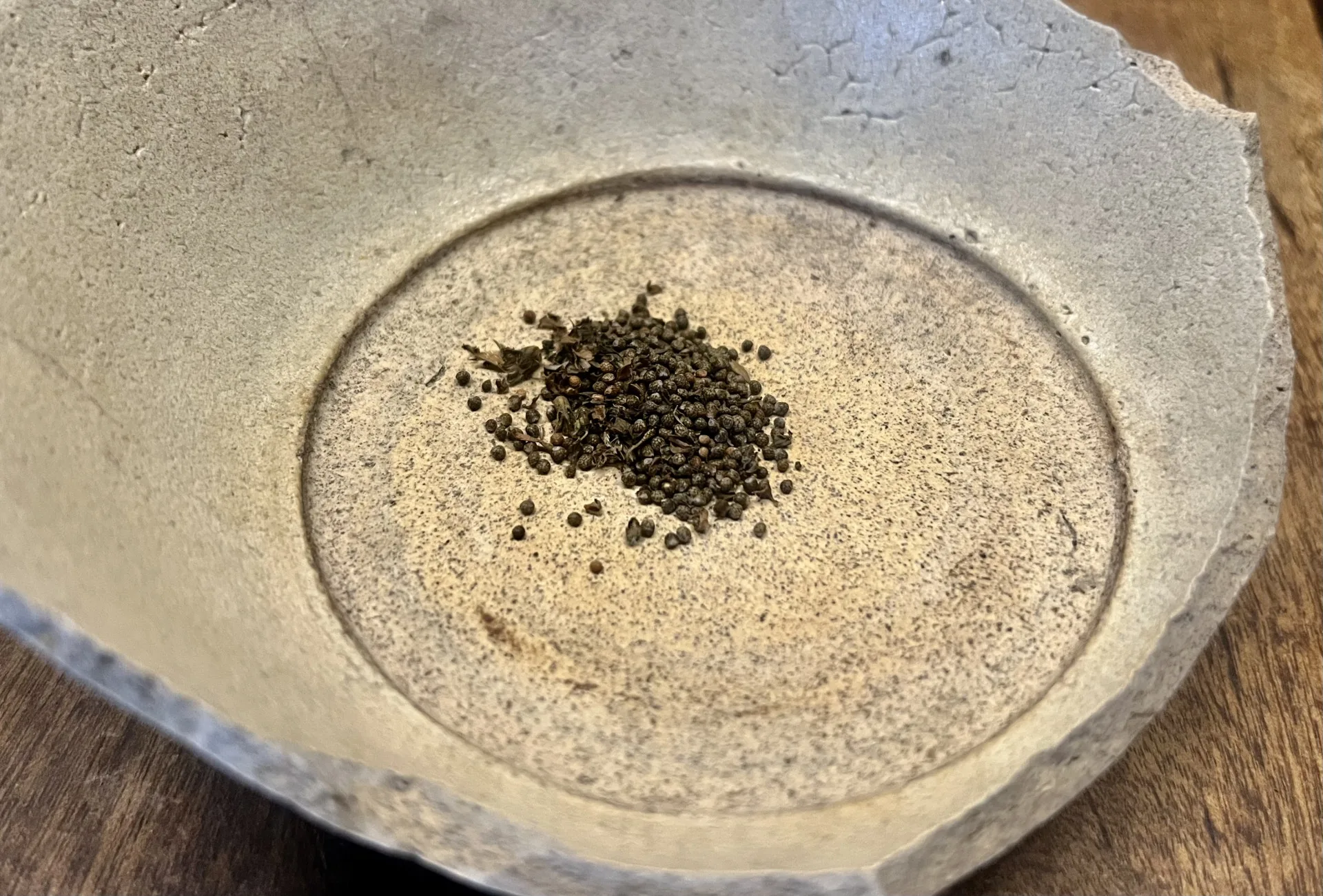 從菜園唯一的枯枝採集到的紫蘇籽，是醬料的靈魂。徐彩雲攝