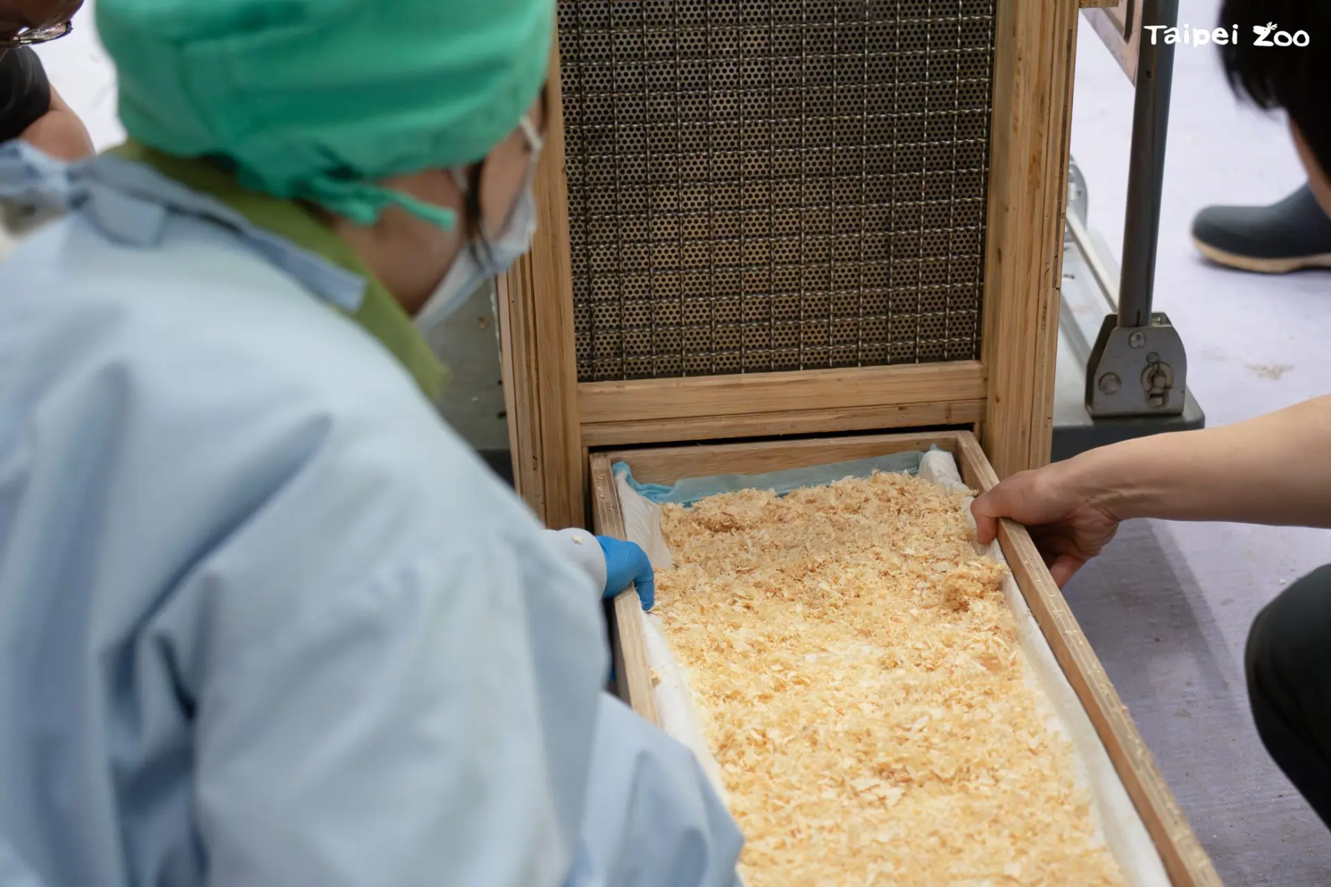 照養團隊針對動物的體長大小,專門做出合適的箱籠來用於長途運輸。北市動物園提供