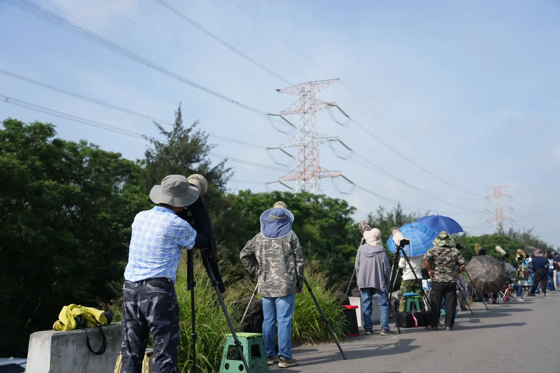 東方白鸛首度被記錄到在台灣繁衍育鶵，吸引鳥迷觀賞記錄。雲林縣政府提供