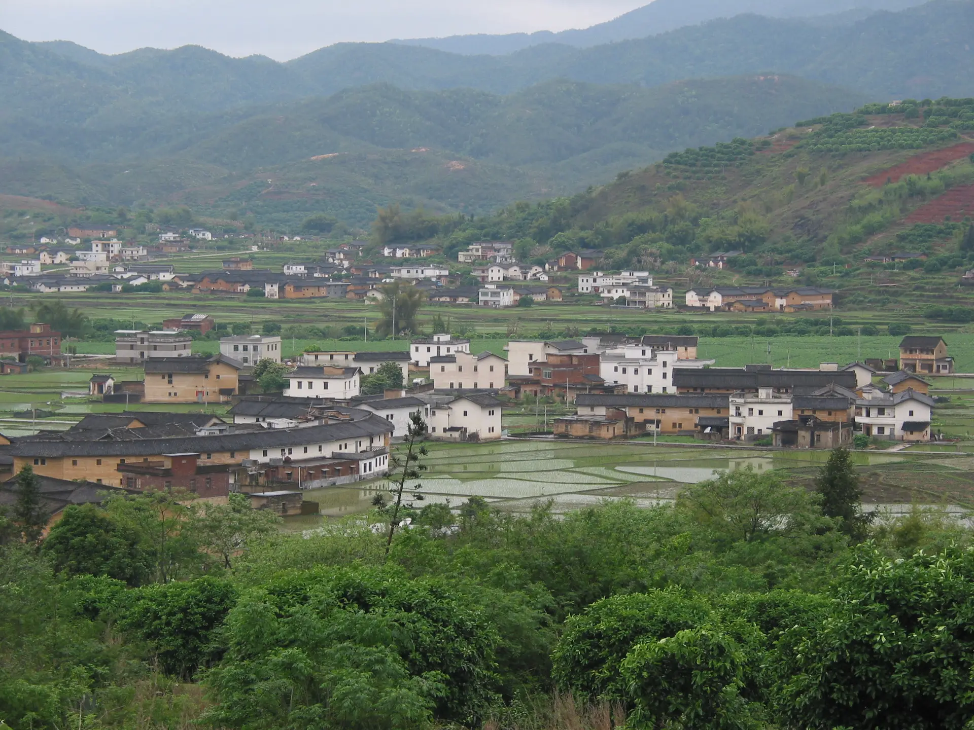 兄弟倆外公家鄉廣東梅縣隆文村東之里山風情。李慧宜攝