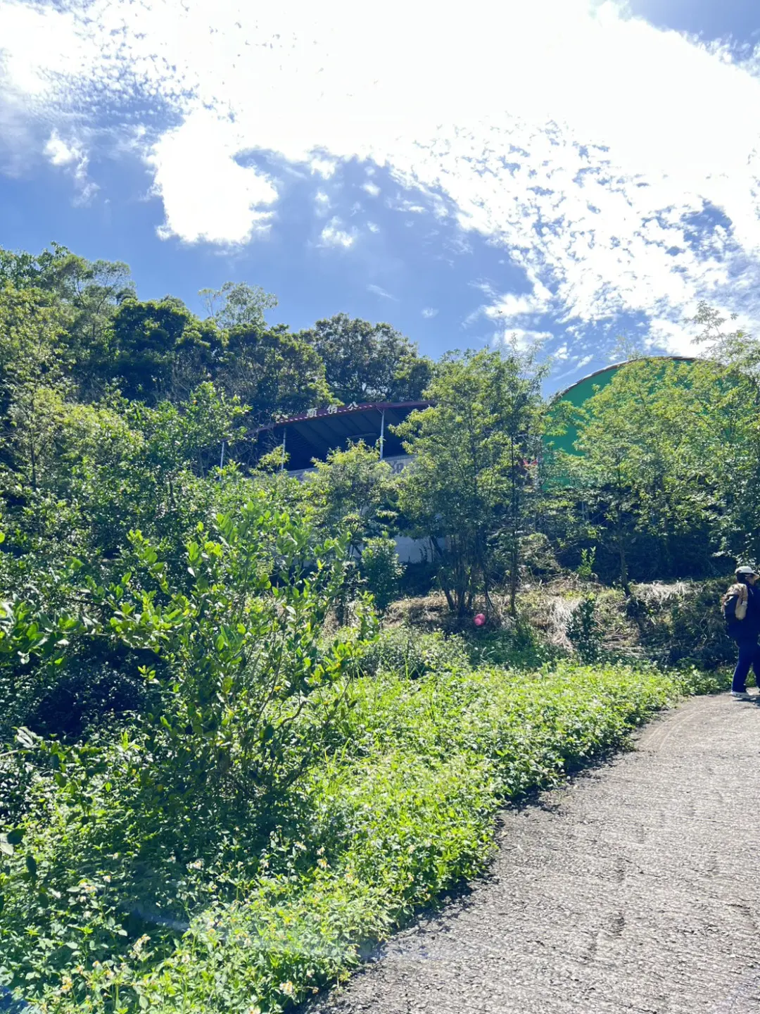 我從山下的三元宮走到山頂的顯伯公，顯伯公就位在芎林鄉鹿寮坑，是芎林鄉最高點的伯公。2026，芎林鄉鹿寮坑，楊國鑫攝