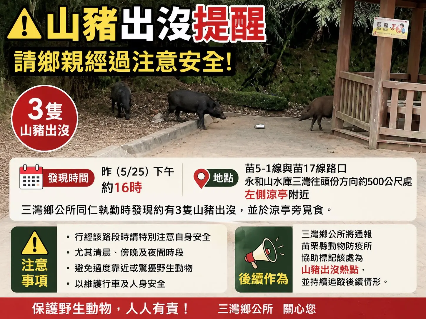 三灣山豬出沒提醒。翻攝自三灣鄉長李運光臉書