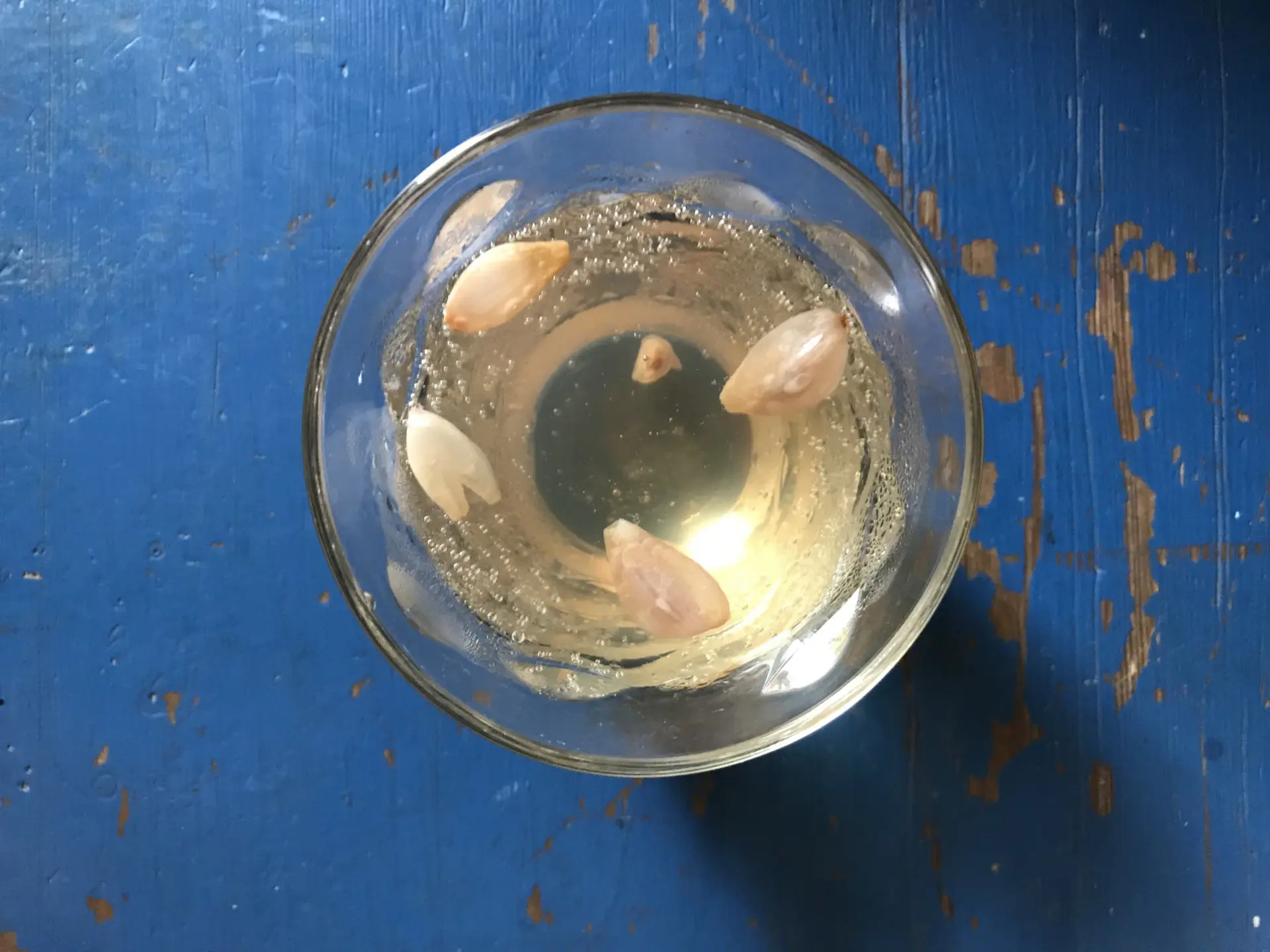 月桃花糖漿兌入氣泡水，幾朵花瓣喚醒了讀詩的味蕾。徐彩雲攝