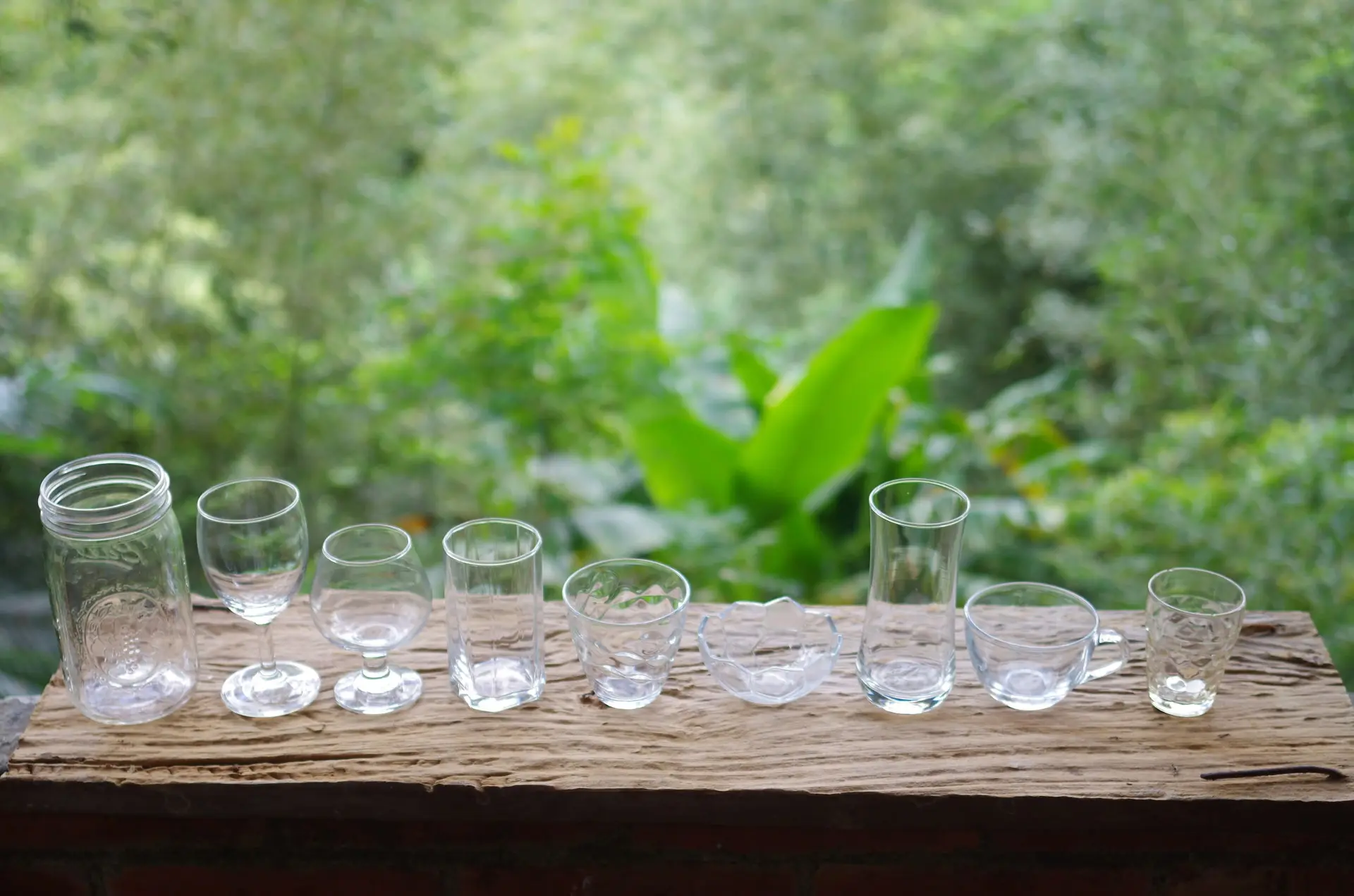 形狀各異的透明玻璃杯，既是食器也是花器。徐彩雲攝
