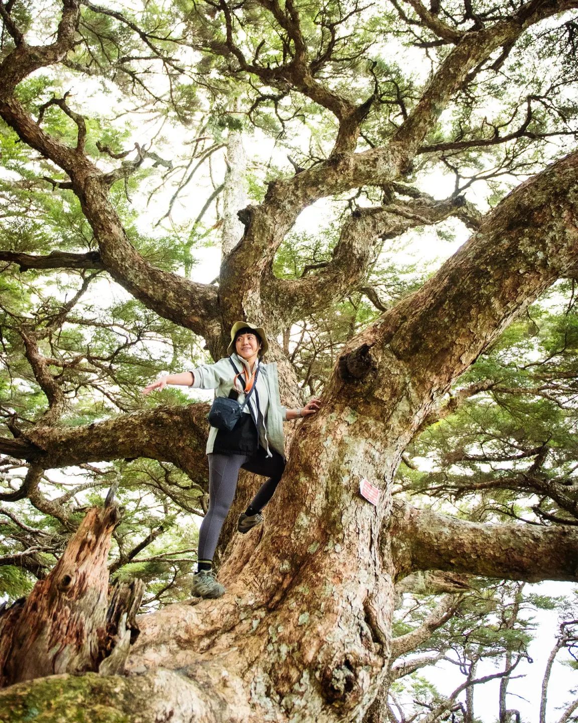 樂愛爬山的啊喬表示,《下回上去》就像完成了山徑陡峭且體能消耗大的旅程,卻幸運地看見美好的景色,「痛苦並快樂著。」她笑喊借用流行語來總結。翻攝自IG chiao_lai 春麵啊喬