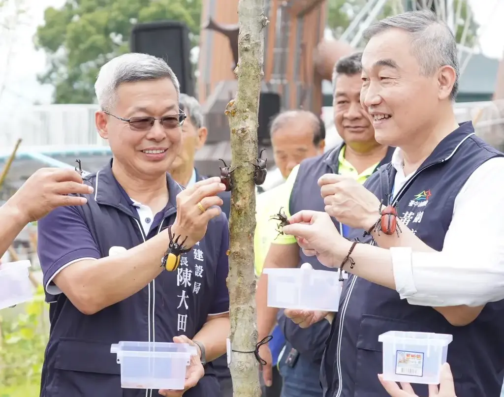 台中市政府官員30日將獨角仙放上光蠟樹。翻攝台中市政府官網