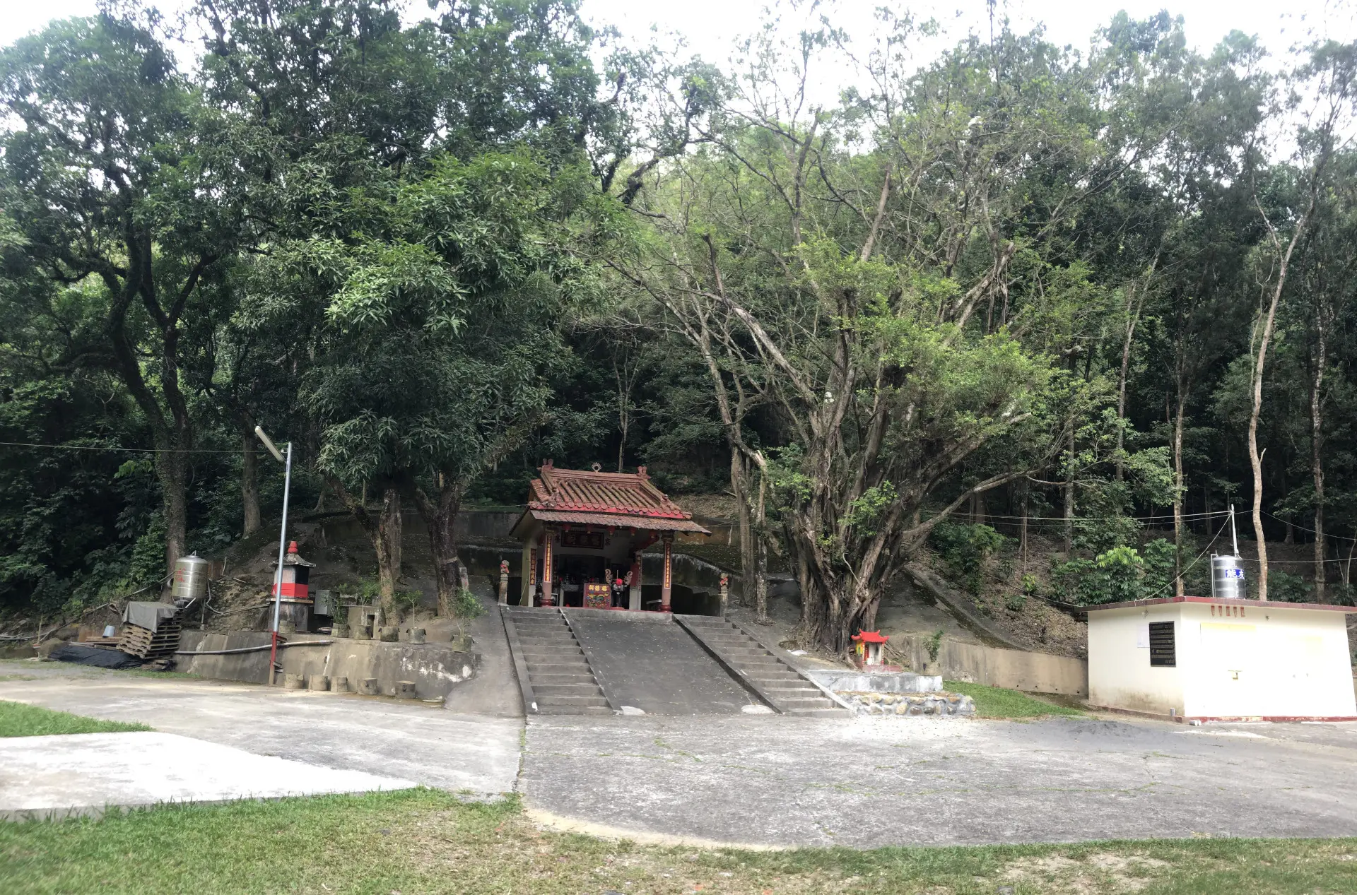美濃有名的七頭樹伯公是典型的樹神信仰。李慧宜攝