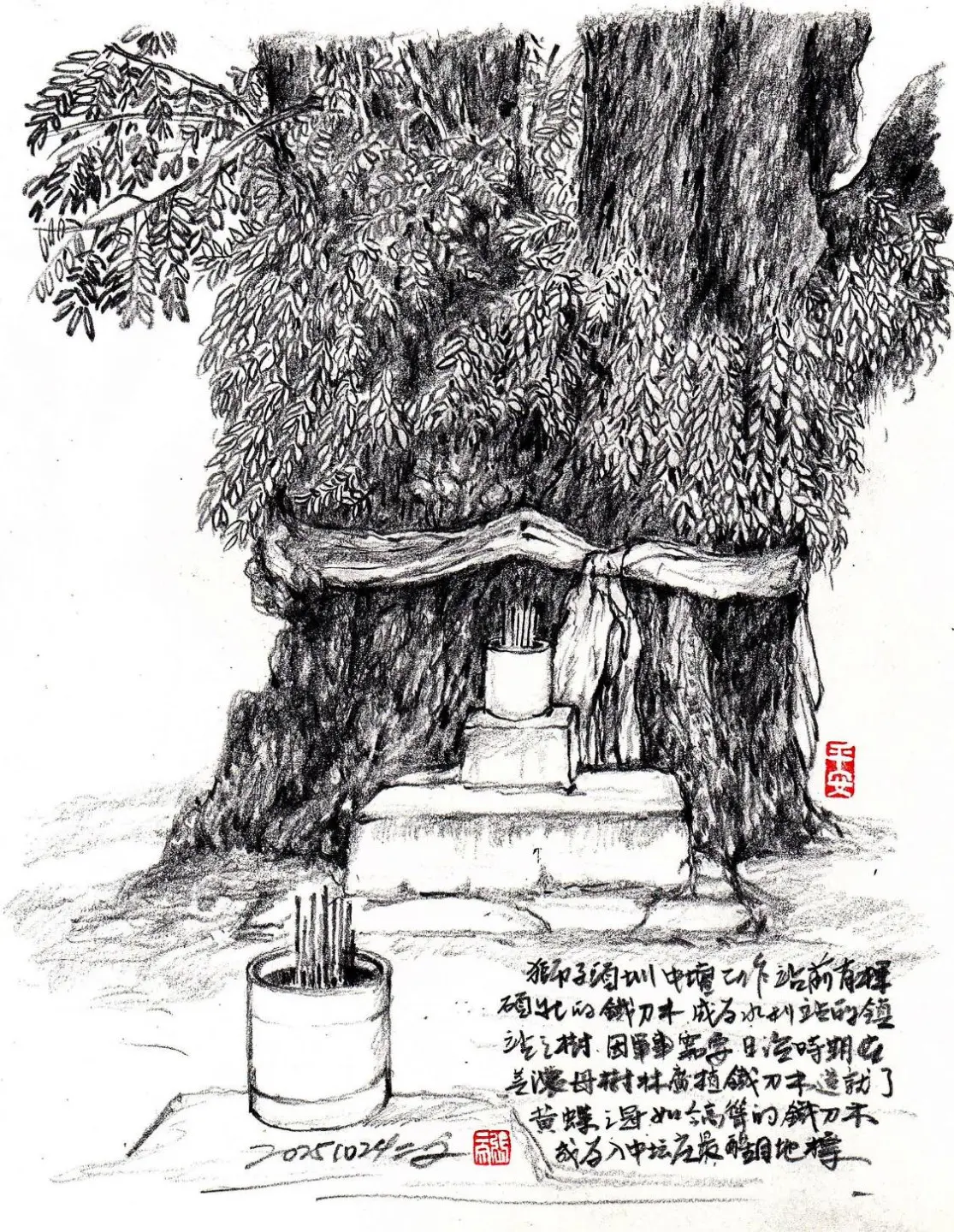 獅子頭圳中壇工作站前碩壯的鐵刀木。張二文提供