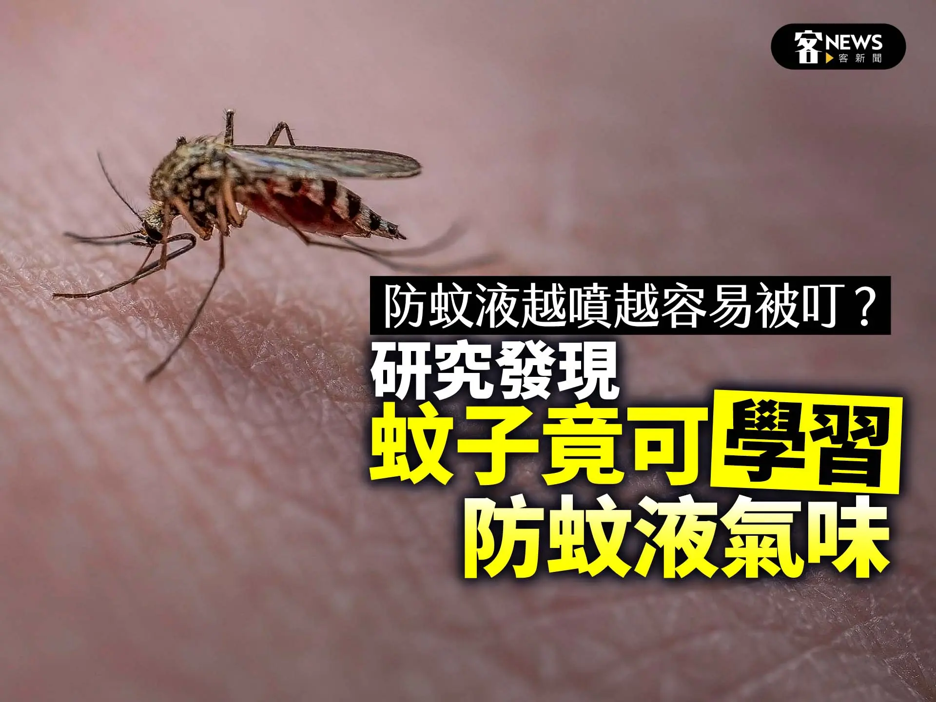 防蚊液越噴越容易被叮？研究發現蚊子竟可「學習」防蚊液氣味
