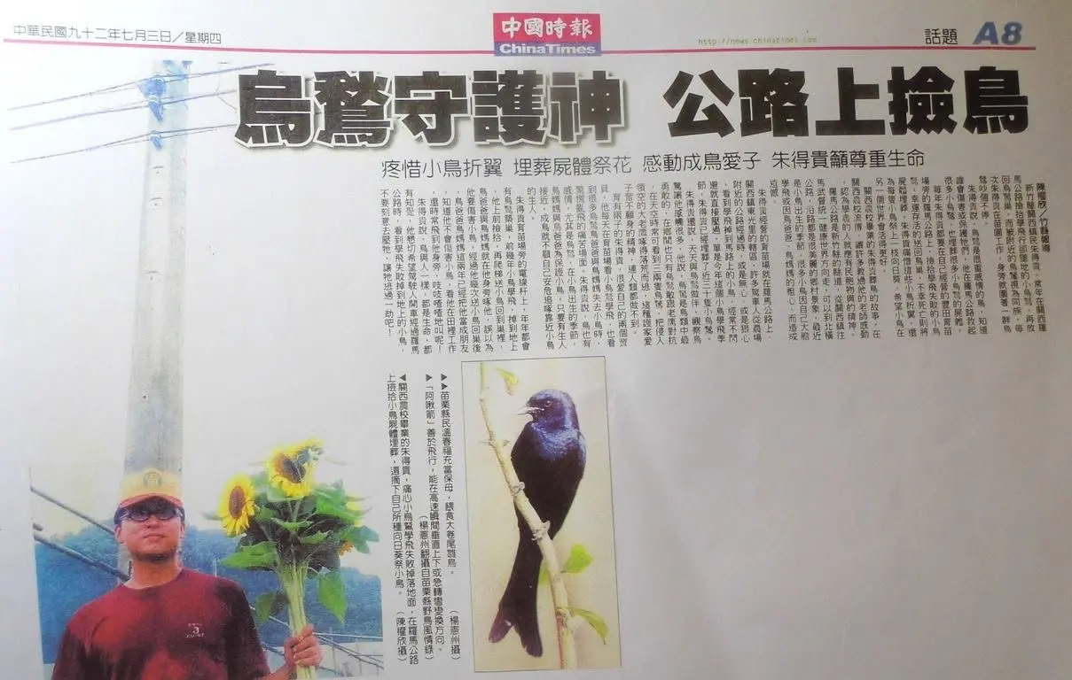 在關西羅馬公路有位朱姓客家農營一家花圃農場,他在六月風時水來時,天天巡視羅馬公路救援被大風水吹落地的小烏鶖,見有小烏鶖落地喪命,他還會在花園中幫牠埋葬還拆了太陽花陪葬,這種民胞物與的作為很感人。陳權欣提供