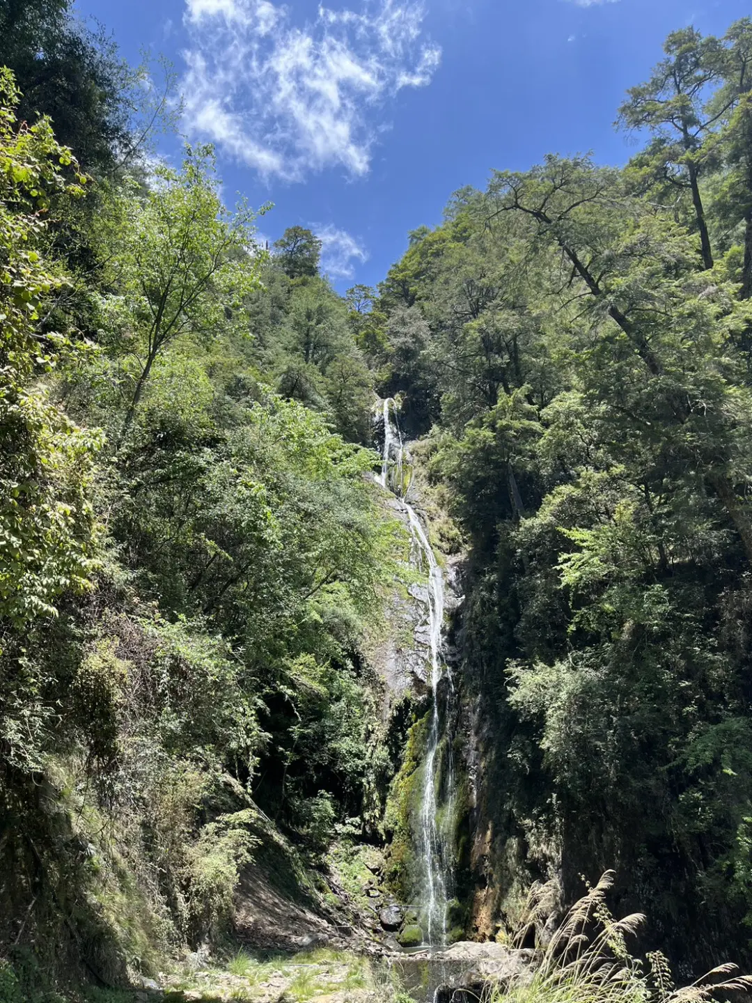 武陵國家森林遊樂區桃山瀑布。林業及自然保育署臺中分署提供