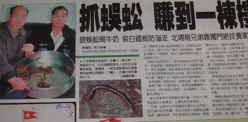 北埔鄉民林福清兄弟,靠捉蜈蚣建一棟三層樓住家,成為鄉里趣聞,還上過媒體報導。陳權欣提供