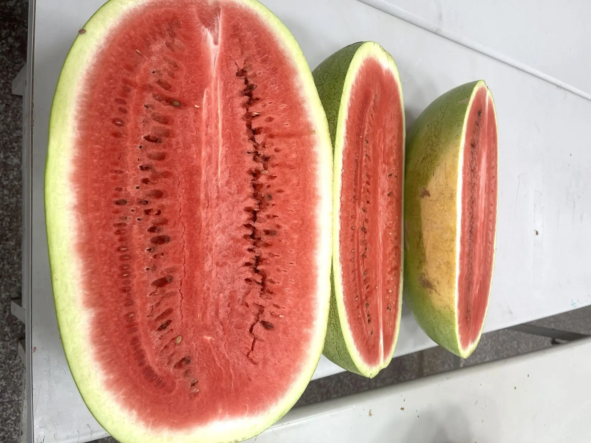 新竹縣西瓜種植面積約40公頃,年產量約425公噸,其中新豐鄉種植面積達21公頃,占全縣逾半數。竹縣府提供
