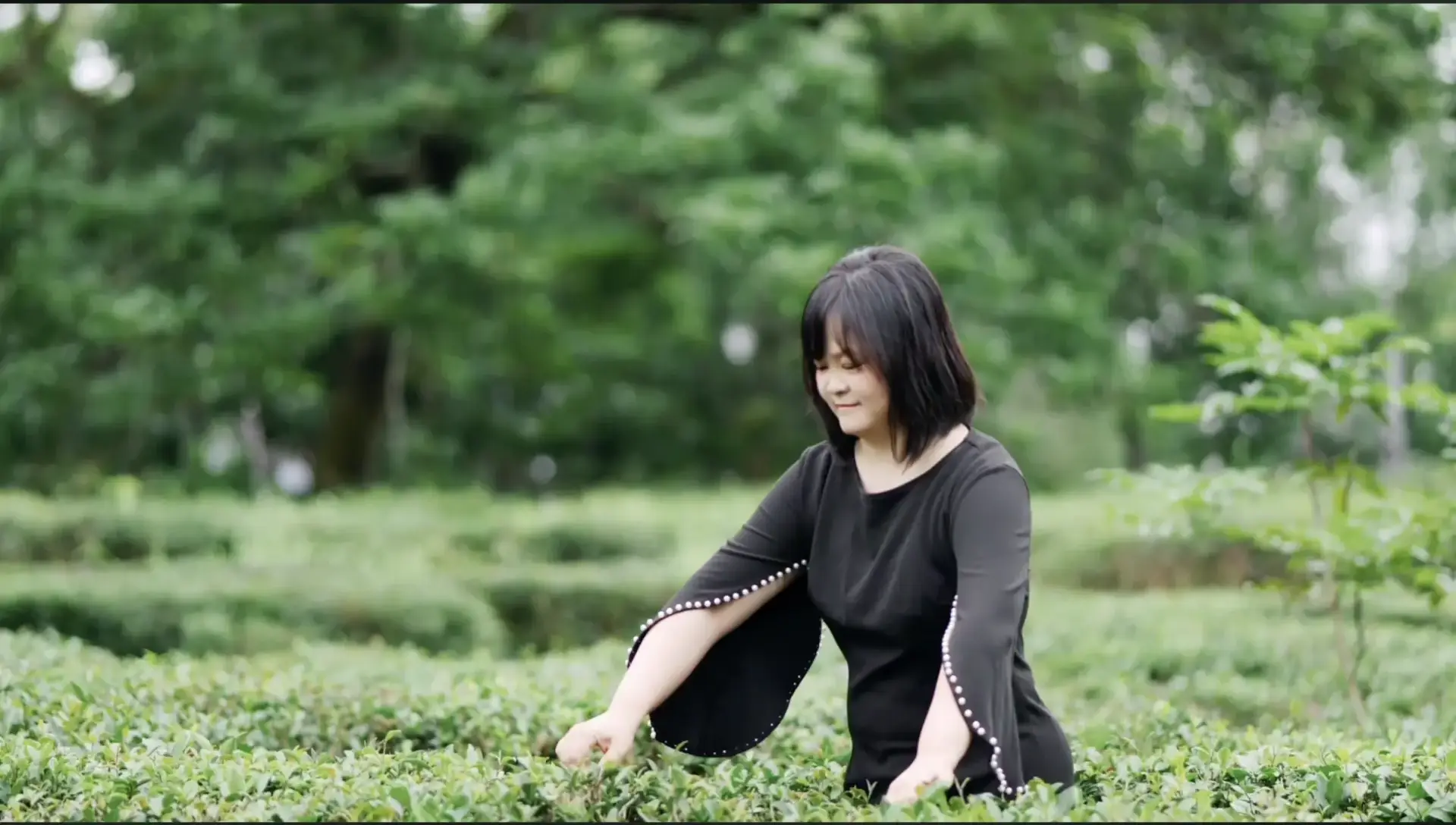 「客語歌曲曾經是一片文化荒漠，但現在它逐漸的長出了倔強的綠洲」，阿依·羅如此形容客家流行樂壇現況。翻攝自阿依·羅YT頻道