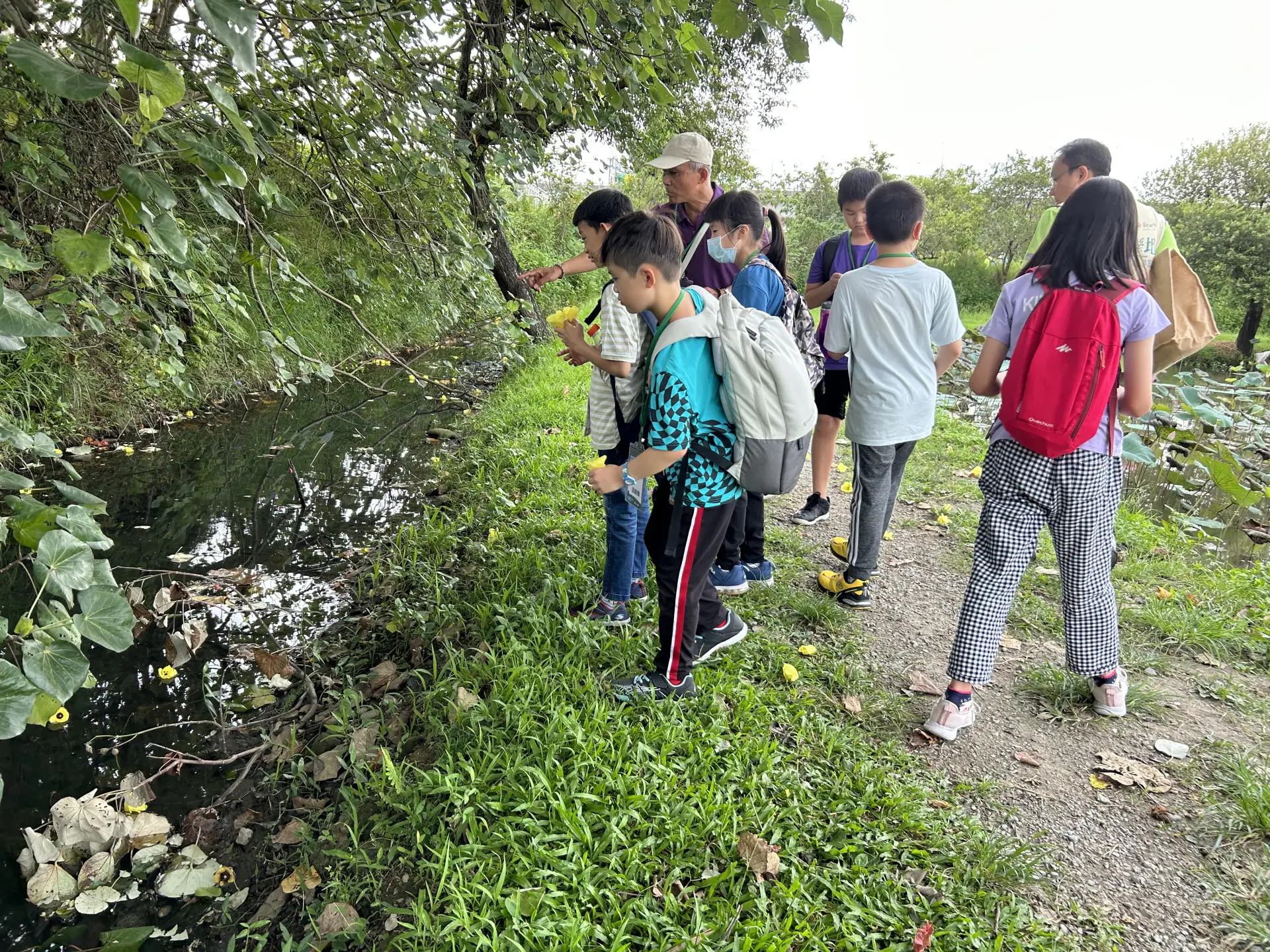 兩日營隊活動將實地走訪漳和濕地觀察生態環境,學童們可近距離認識各類動植物。新北市政府提供