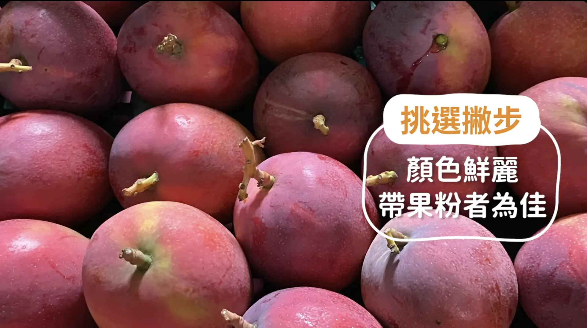 農業部在影片中表示,若芒果聞起來有香氣,摸起來有點微軟,就是最好的品味期。翻攝農業部臉書影片