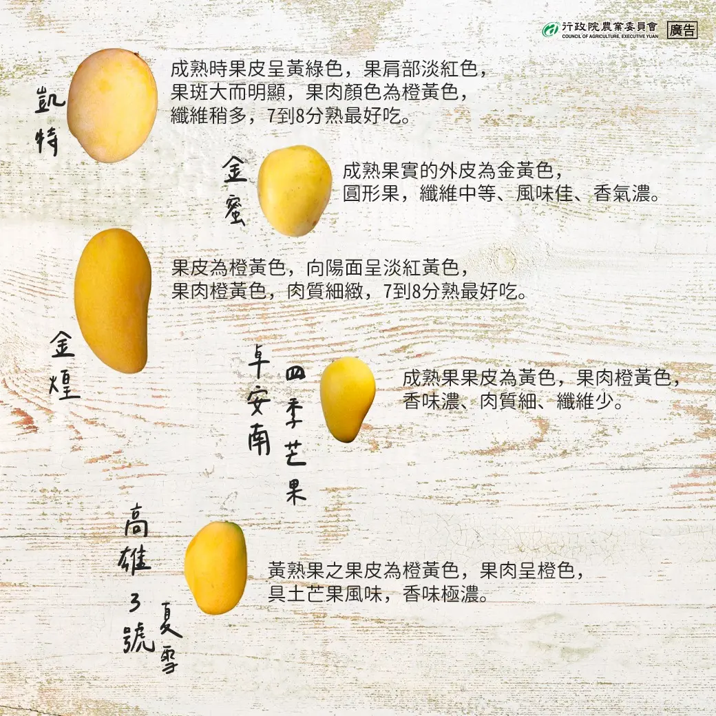 農業部特別整理出台灣常見的16種芒果,透過圖片了解外觀,搭配內文補充風味口感,帶領民眾認識各項品種。農業部提供