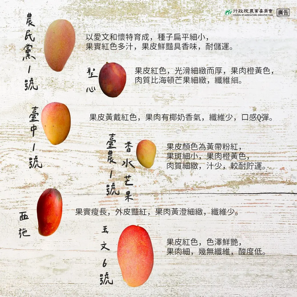 農業部特別整理出台灣常見的16種芒果,透過圖片了解外觀,搭配內文補充風味口感,帶領民眾認識各項品種。農業部提供