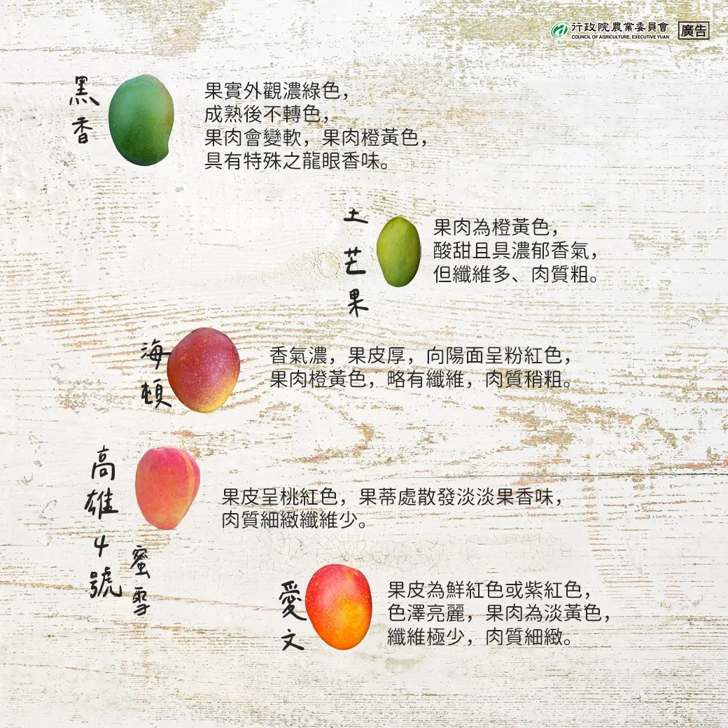 農業部特別整理出台灣常見的16種芒果,透過圖片了解外觀,搭配內文補充風味口感,帶領民眾認識各項品種。農業部提供