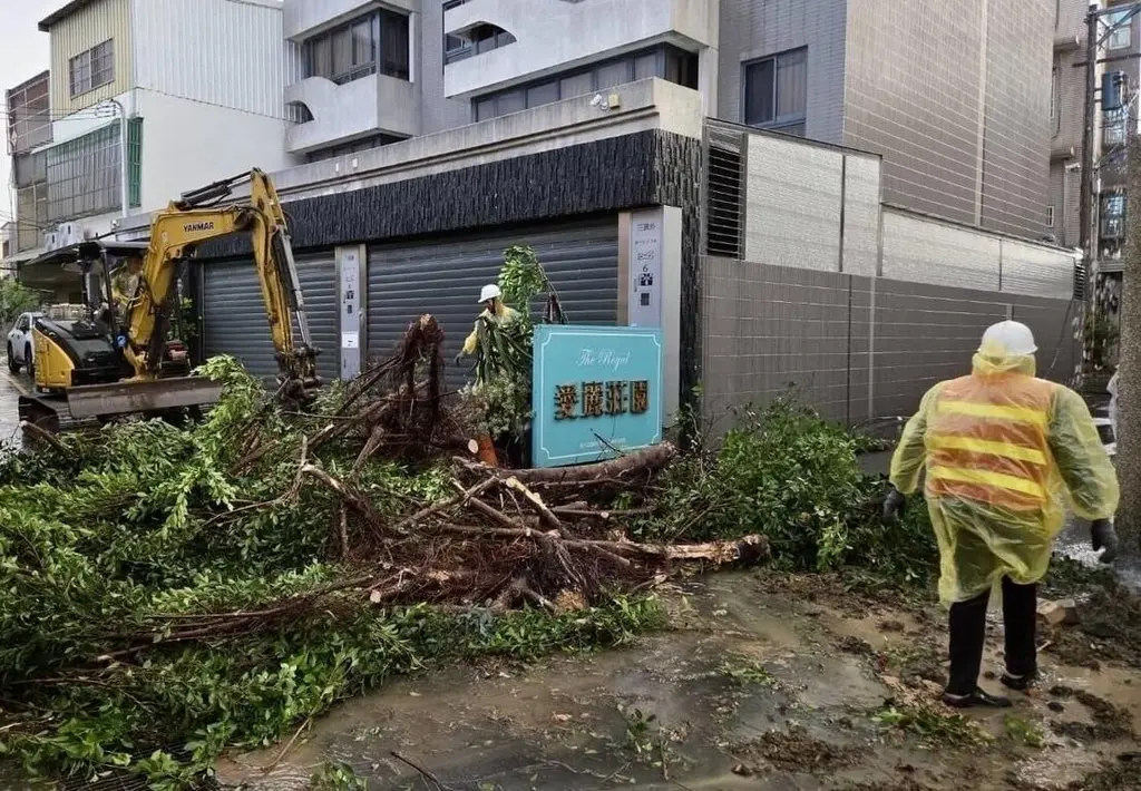颱風巴威襲台，11日造成新竹市零星路樹傾倒災情，一度影響通行。新竹市政府提供