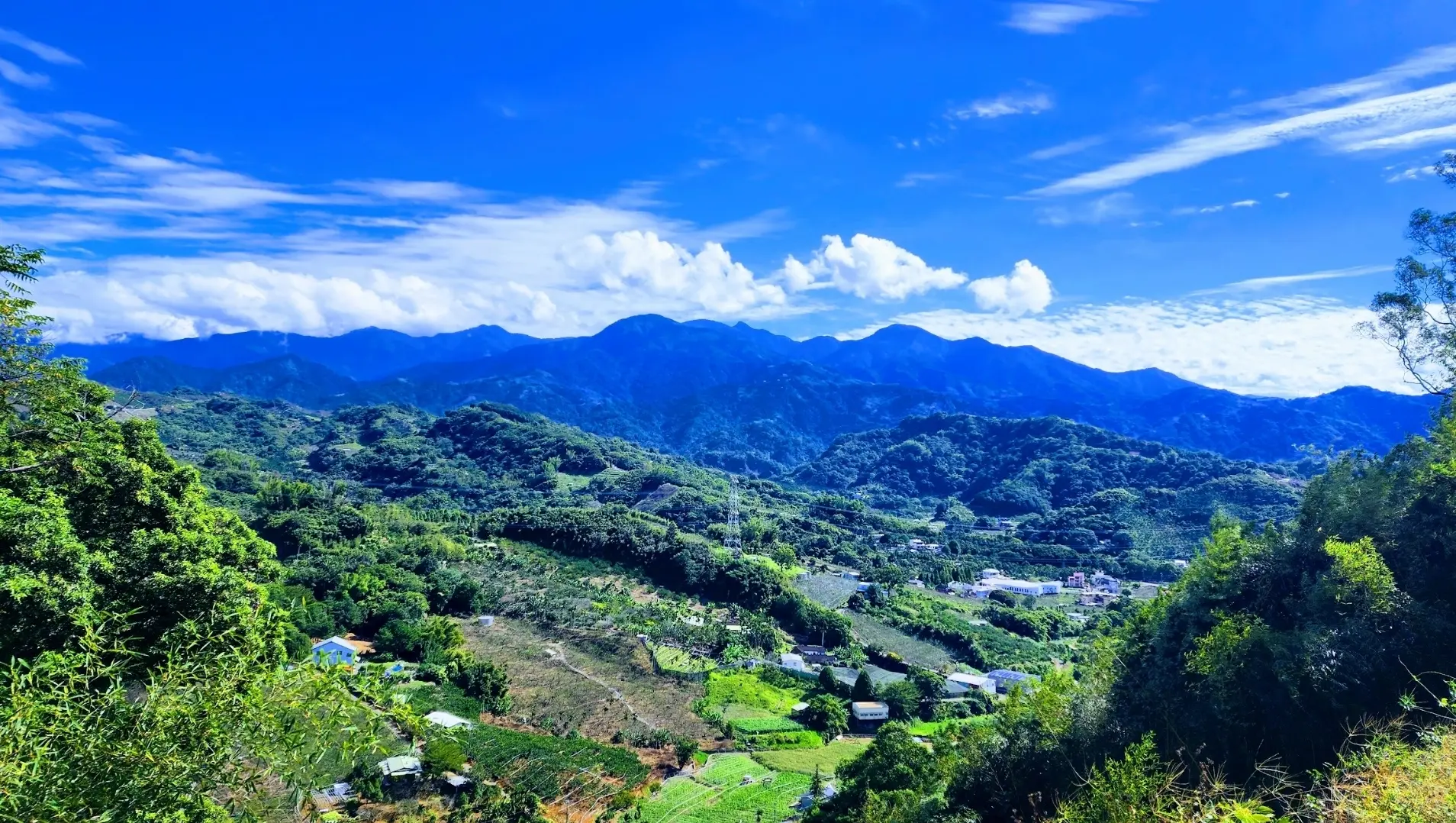 天氣好時可見的大景。大茅埔調查團團長吳哲銘提供