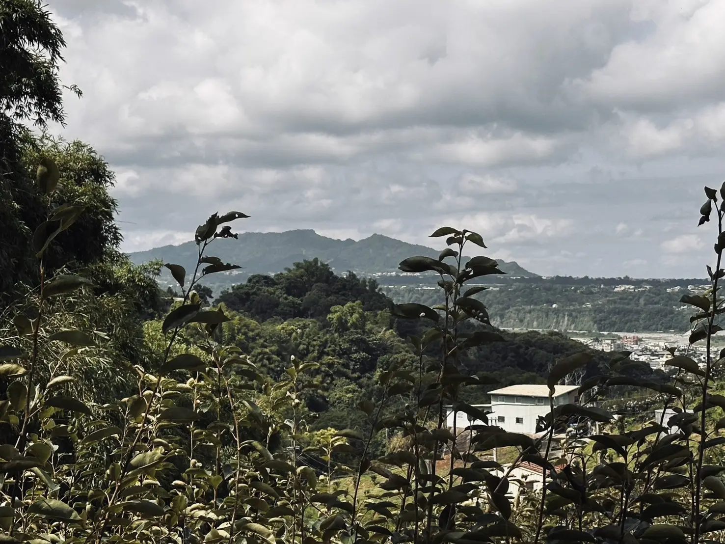 站在高處可遠眺頭嵙山、二嵙山景色。台中市政府客家事務委員會提供