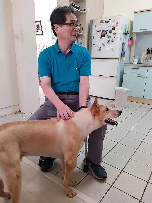 王幼華關心受傷的流浪犬，感受牠們身心的創傷，正準備寫的長篇小說《微笑的狗》，就以受傷的狗來寓意人生。王幼華提供