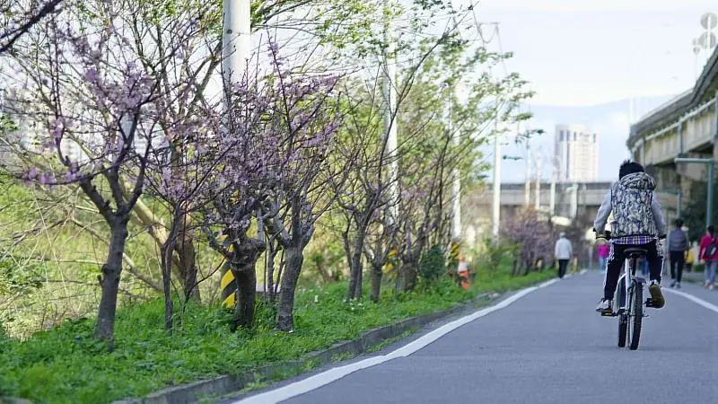 「頭前溪河濱公園與自行車道」也憑藉著完善的運動休閒規劃，每月穩定貢獻16至19萬的休閒人次。新竹市政府提供
