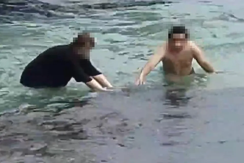 2名遊客在小琉球花瓶岩岸際觸摸海龜，海巡署循線查獲並依《野生動物保育法》送辦。海巡署提供
