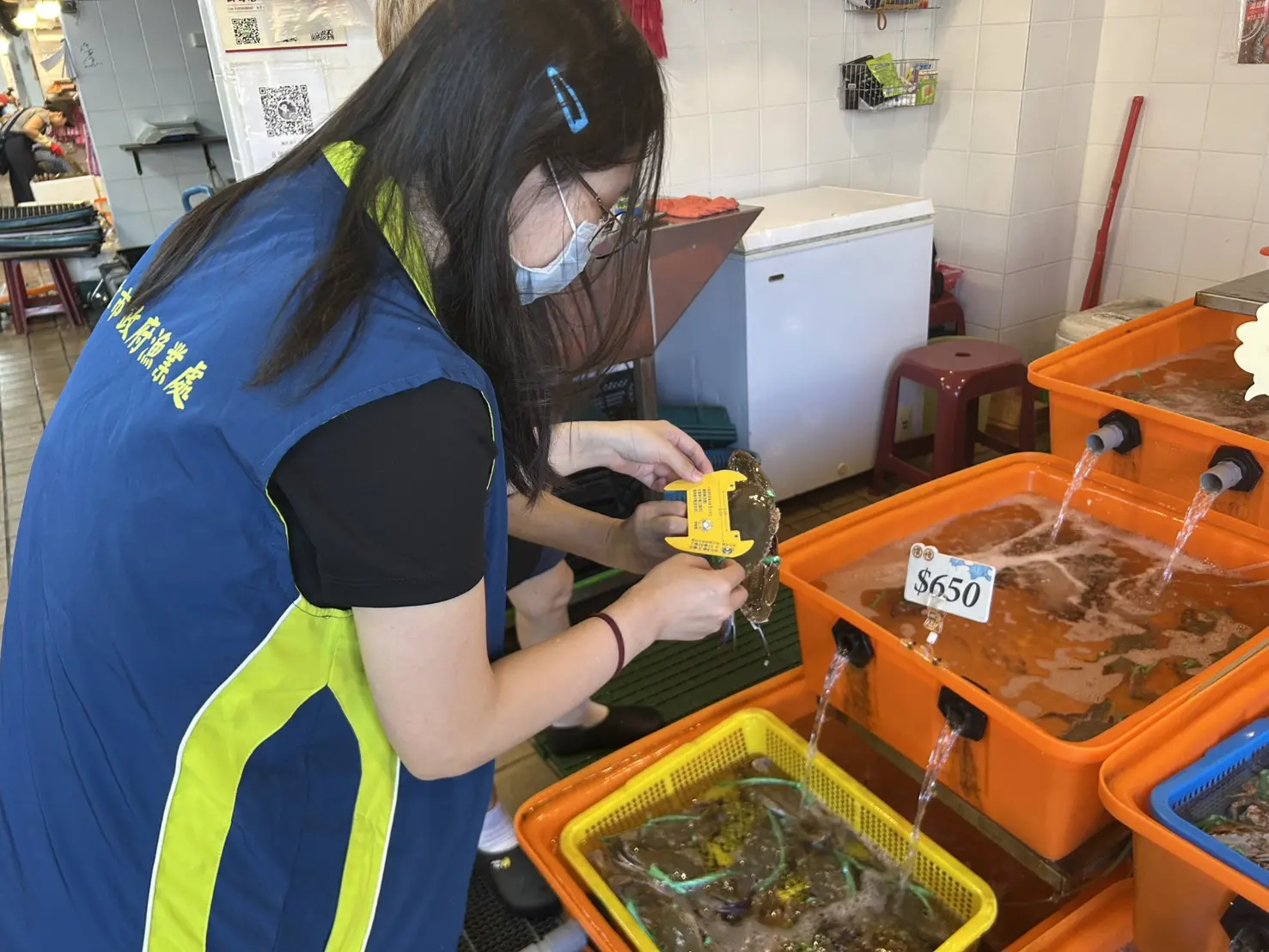 新北市漁業處進行抱卵母蟹稽查。新北市政府提供