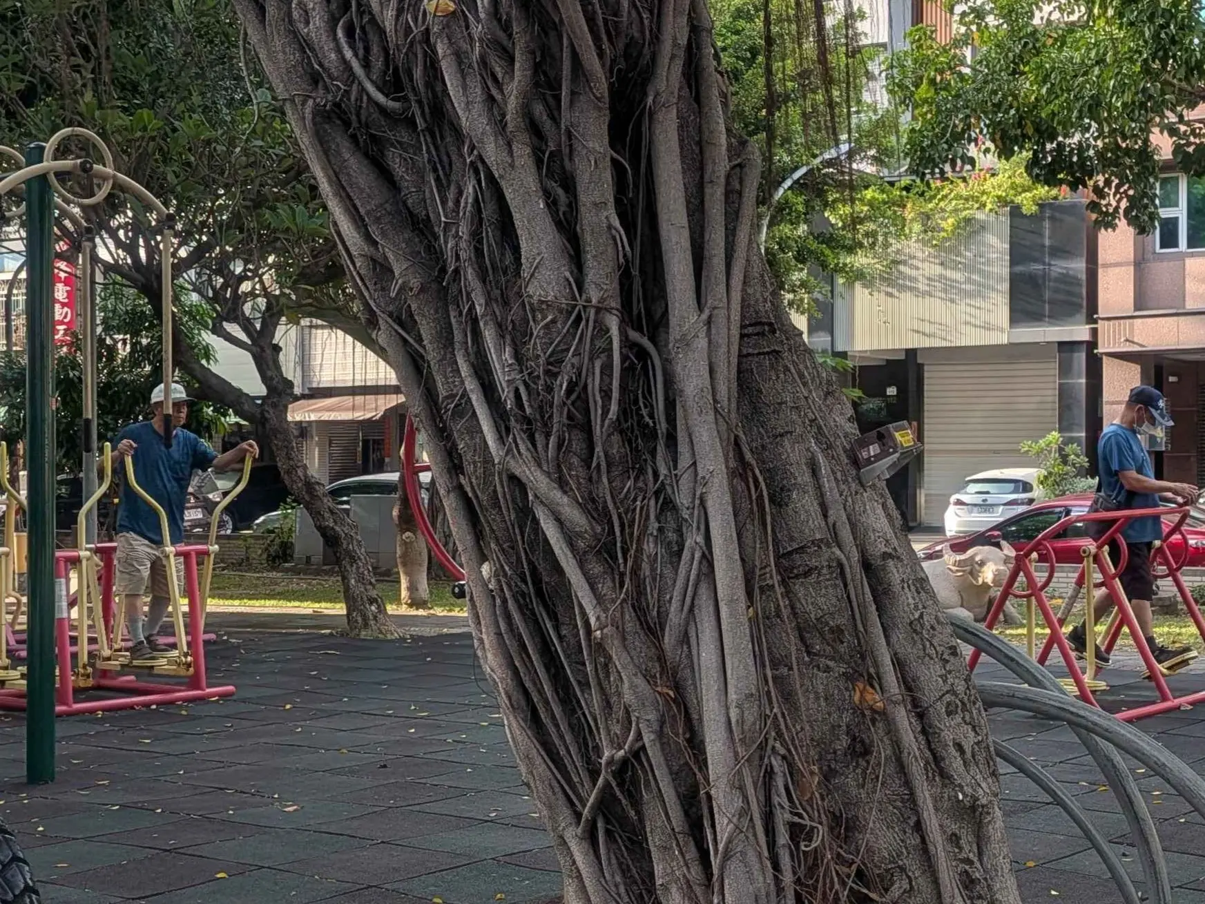 高雄市政府在河北路裝設行道樹智慧監測現況。高雄市政府提供