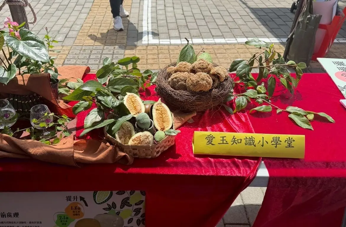 九芎湖商圈以愛玉文化為特色，透過千人洗愛玉活動推廣地方產業與客庄觀光。竹縣府提供