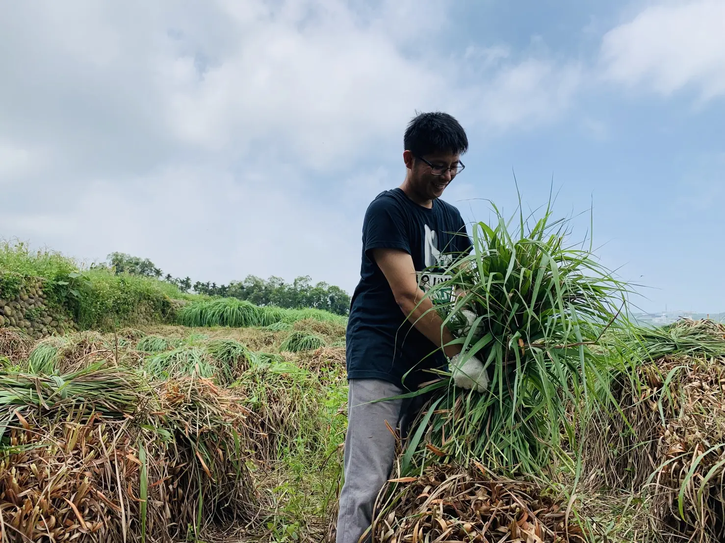 三義青年處理香茅過程。茅鄉炭坊提供