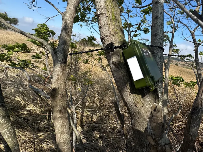 研究團隊透過於大肚山地區架設自動錄音機調查草鴞可能的活動區域。林保署臺中分署提供