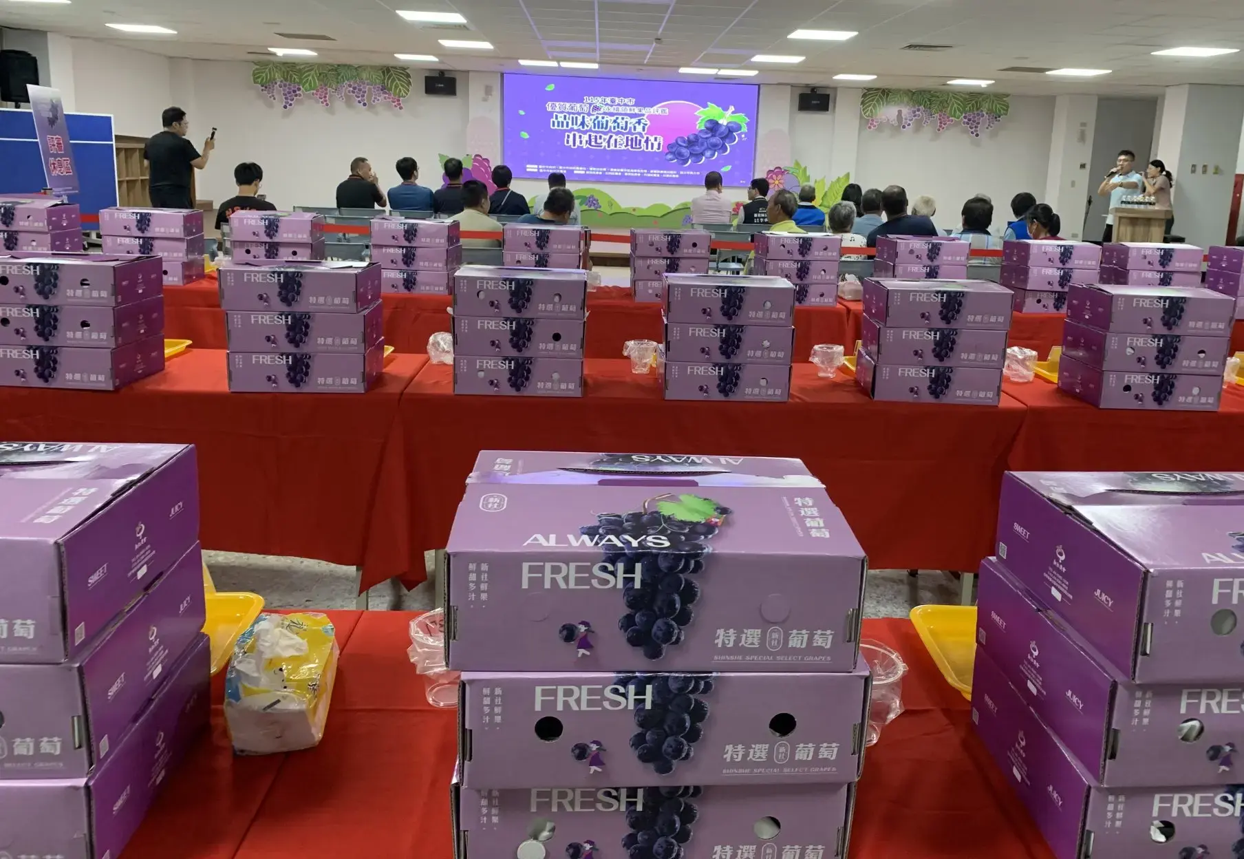 115年度臺中市優質葡萄永續領鮮評鑑會場。台中市政府提供