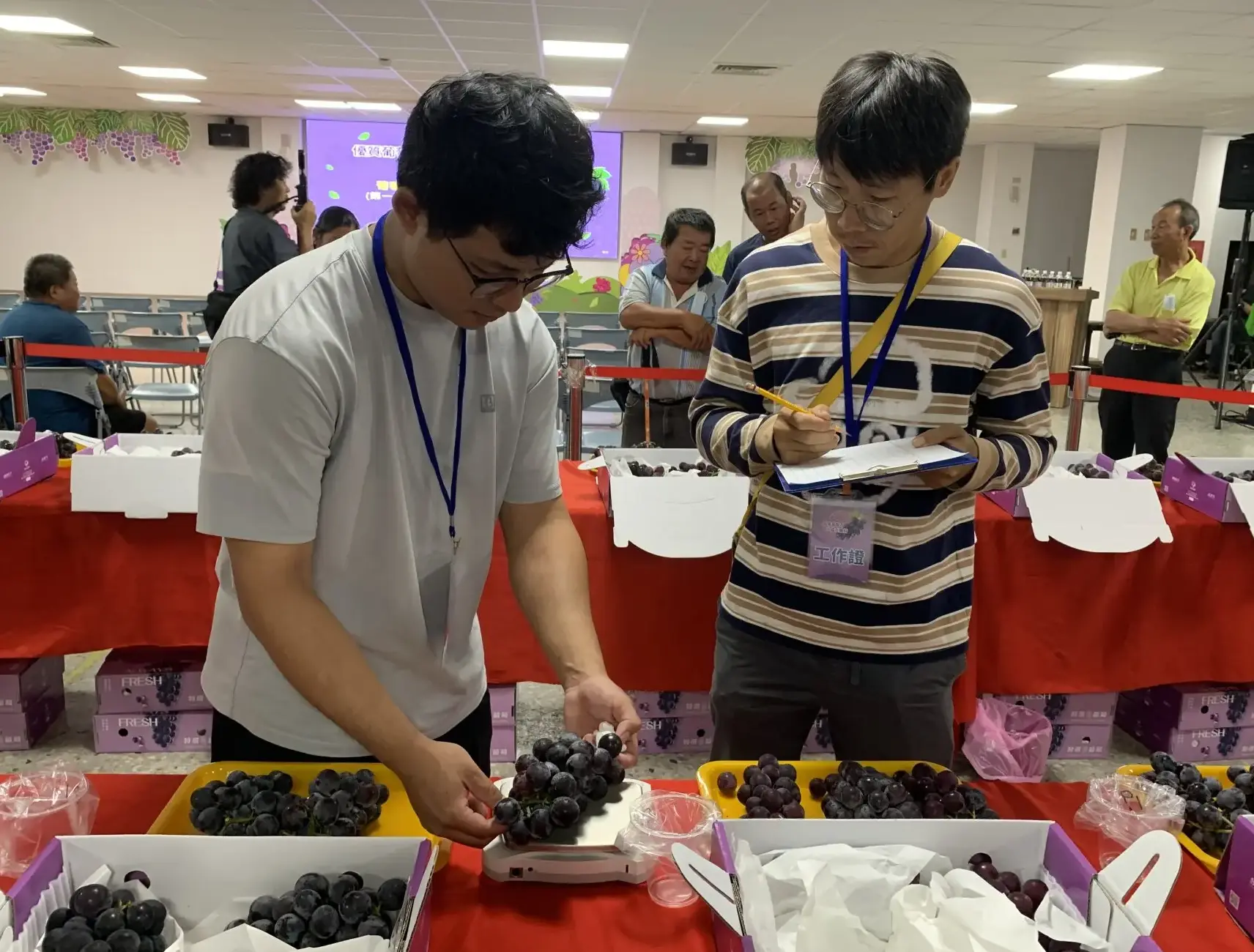 果品重量測定。台中市政府提供