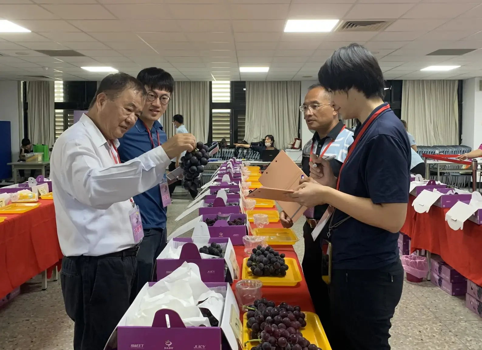 評審委員進行外觀及脱粒評定。台中市政府提供
