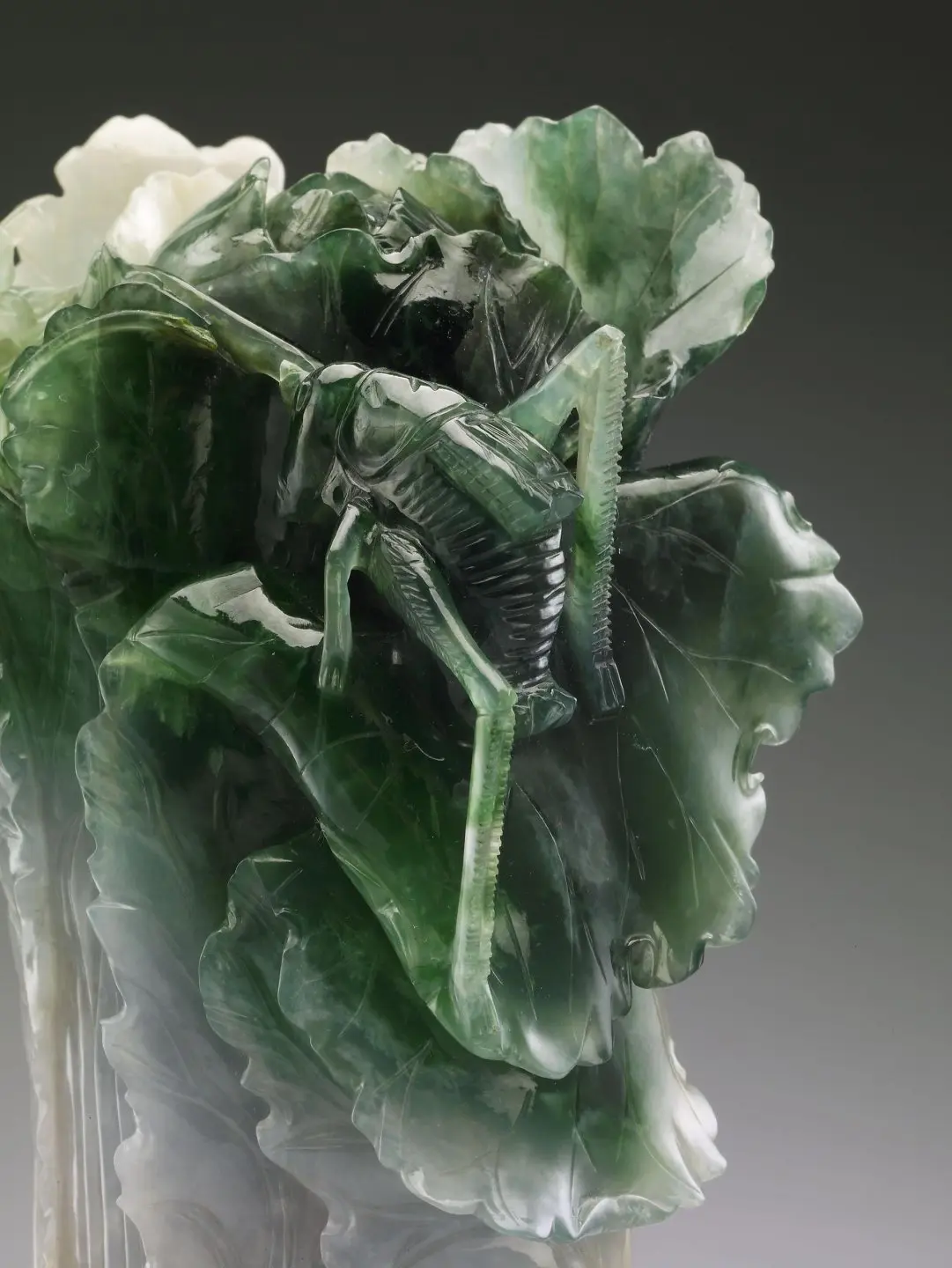故宮翠綠白菜上的這隻是紡織娘還是蚱蜢?陳權欣翻攝自故宮圖鑑