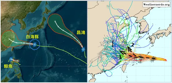 氣象專家吳德榮預估，明天中颱「白海豚」通過琉球附近，8日進入東海南部移速減慢，逐漸偏北轉，不確定性增大。翻攝氣象應用推廣基金會網頁www.metapp.org.tw