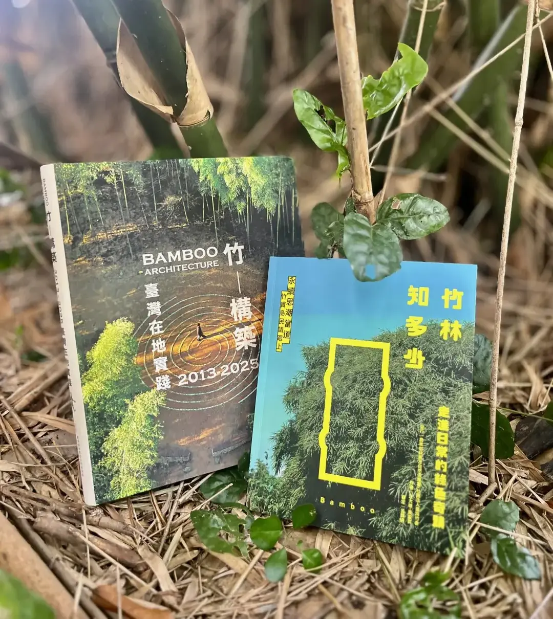 《竹林知多少》與《BAMBOO 竹構築2013-2025》兩本新書，並置於竹林間，呼應臺灣永續思潮與在地實踐的路徑。黎光棣攝