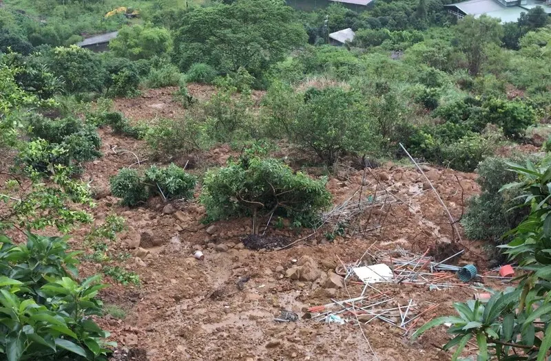 高雄市農業局辦理全市「6月下旬豪雨及巴威颱風農田受災救助」，各區公所2日起至15日受理申請。高雄市農業局提供